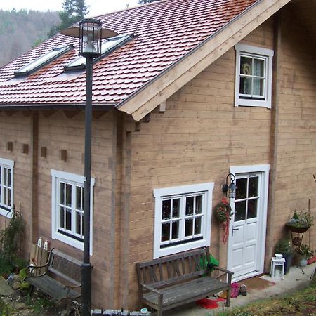 Pension Frauenschuh Hirschbach  Extérieur photo